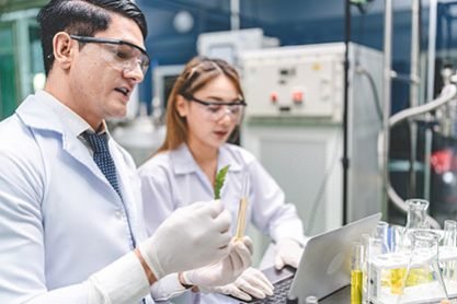 Two people in a laboratory setting studying cannabis with a test tube and a laptop